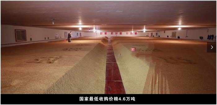 BG大游集团(中国)唯一官方网站